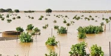 أمطار على قرى وتجمعات سكانية في خمس ولايات