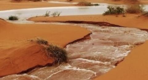 الأرصاد الجوية تتوقع بداية أسبوع ممطرة في عدة ولايات